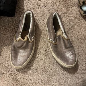 Metallic Vans